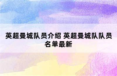 英超曼城队员介绍 英超曼城队队员名单最新